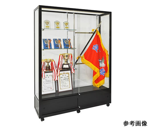 EXCEED Winning Flag Case V Silver 及其他 VS15-451 和更多型號 - 商品圖 6
