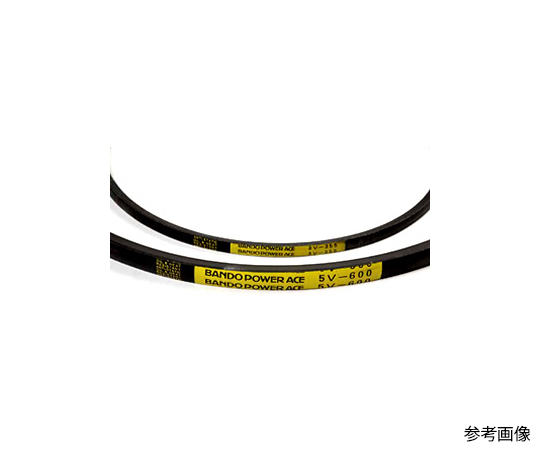 Power Ace 及其他 8V1180 和更多型號 - 商品圖 6