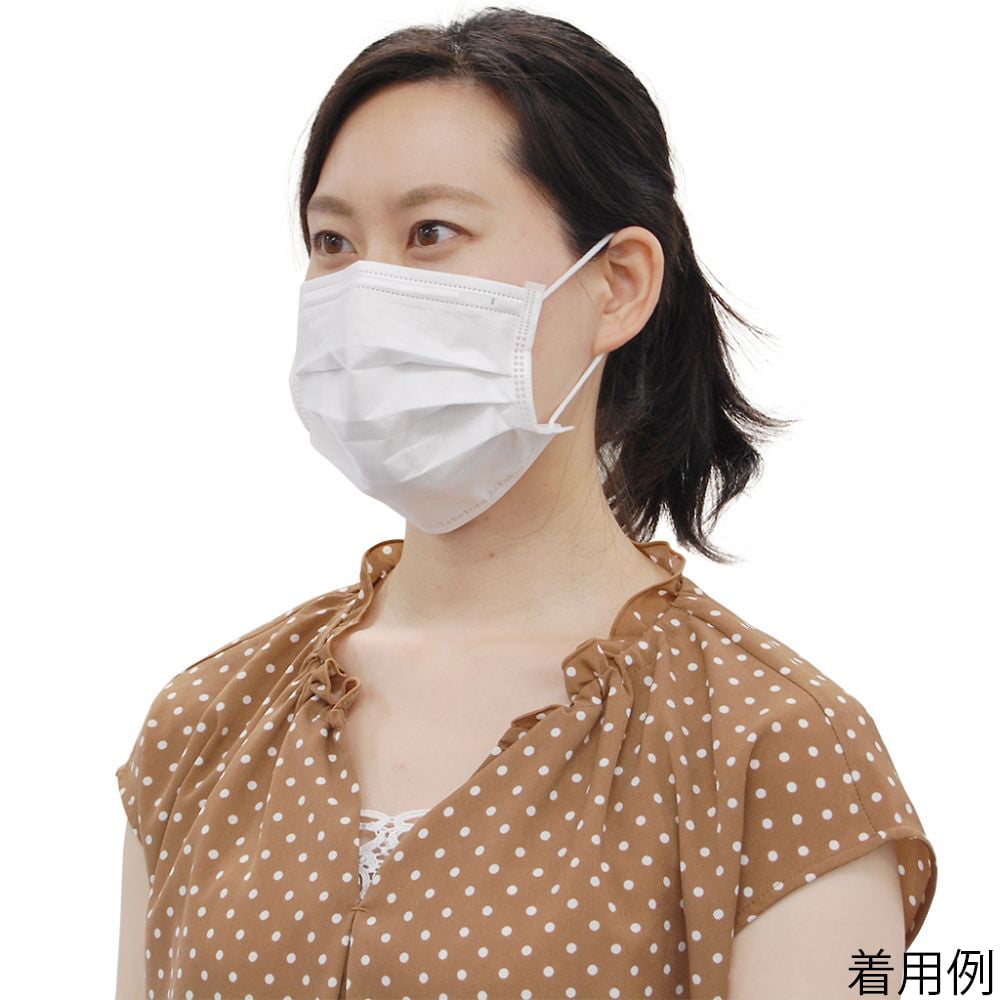 醫療口罩 L2 白色 1 箱 (50 片 x 10 盒) 及其他 076263 和更多型號 - 商品圖 8