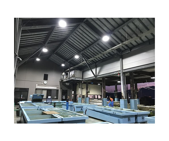 ELI 燈 PL -564 TL-CC 200 室內/室外型 及其他 003043 和更多型號 - 商品圖 3