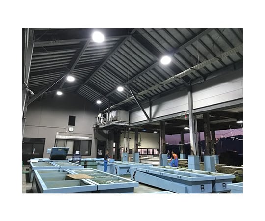 ELI 燈 PL -564 TL-CC 200 室內/室外型 及其他 003043 和更多型號 - 商品圖 6