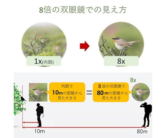 佳能防手震雙筒望遠鏡8x20 IS 及其他 3639C001 和更多型號 - 商品圖 5