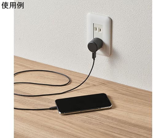 智慧型手機交流充電器 USB-A 母座 1 埠 1.0 A 輸出 黑色 及其他 MPA-ACU07WF 和更多型號 - 商品圖 2