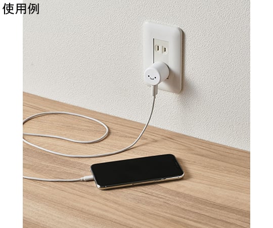 智慧型手機交流充電器 USB-A 母座 1 埠 1.0 A 輸出 黑色 及其他 MPA-ACU07WF 和更多型號 - 商品圖 8