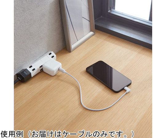 Lightning 傳輸線 L型接頭 0.3 公尺 黑色 及其他 MPA-UALL03WH 和更多型號 - 商品圖 7