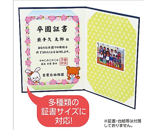 證書文件 豪華內飾 風A海軍藍 及其他 5719 和更多型號 - 商品圖 3