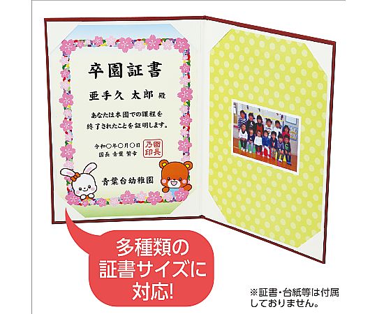 證書文件 豪華內飾 風A海軍藍 及其他 5719 和更多型號 - 商品圖 9