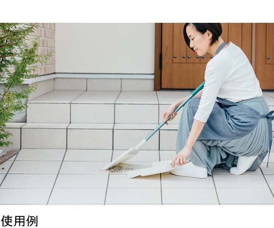 2989.jp+ Mansion Bloom (Allen) 及其他 - 商品圖 8