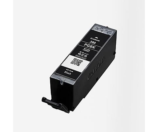 佳能墨水匣 (5色組/BCI-301+300/5 MP) 及其他 EA759X-491 和更多型號 - 商品圖 3