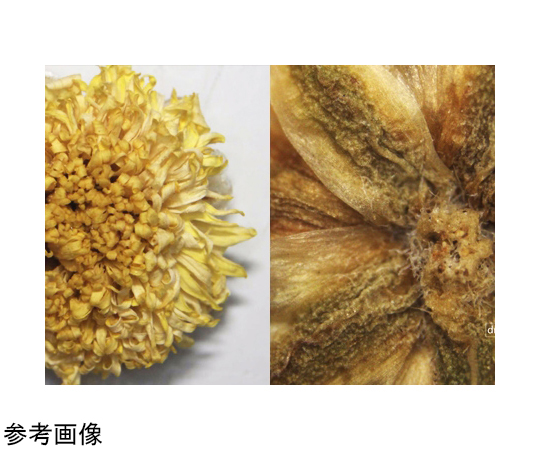 3R SOLUTION CORP. 4K 數位顯微鏡 3R-MSUSB390 - 商品圖 4