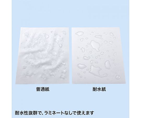 SANWA SUPPLY INC. A4/50張 雷射印表機用 防水紙 EA759XB-11A - 商品圖 2