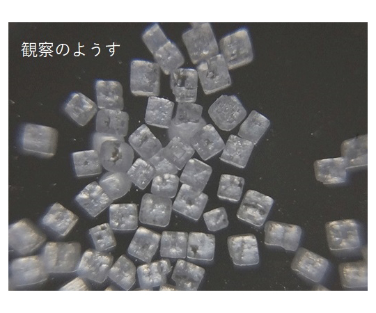 Others 平板顯微鏡 (Miel 1 mm) x 1 S77-2544-01 - 商品圖 4