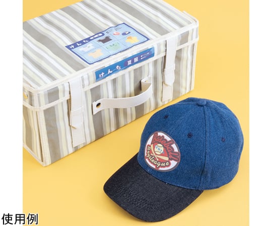 噴墨棉布印章明信片 (100 x 148 公釐) x 3 張 及其他 JP-NU4A6N 和更多型號 - 商品圖 10