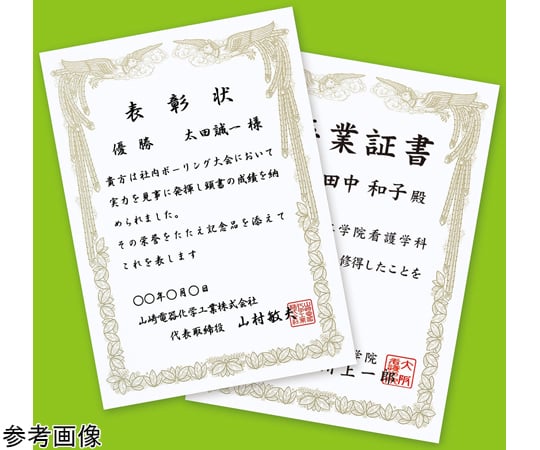 噴墨獎狀 (A4/直式) 10張及其他 JP-SHA4TN2 和更多型號 - 商品圖 2