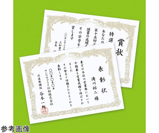 噴墨獎狀 (A4/直式) 10張及其他 JP-SHA4TN2 和更多型號 - 商品圖 6