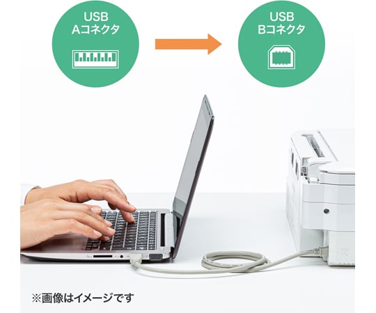 SANWA SUPPLY INC. USB2.0 傳輸線，淺灰色 約 0.3 公尺 及其他 KU20-03HK2 和更多型號 - 商品圖 5