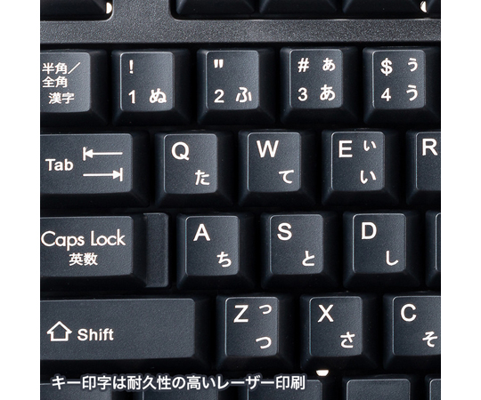 PS/2 鍵盤 黑色 及其他 SKB-L1BKN 和更多型號 - 商品圖 4