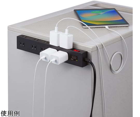 防雷分接器 5m 黑色 及其他 TAP-SP2110N-5BK 和更多型號 - 商品圖 3
