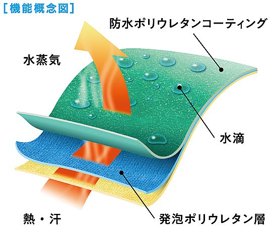 Jersey Themeless LL 橄欖綠 10雙裝 及其他 - 商品圖 9