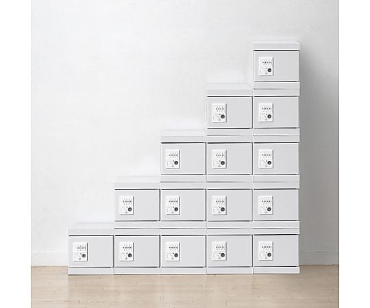 200x300x200mm 個人置物櫃及其他 EA954DM-11 和更多型號 - 商品圖 3