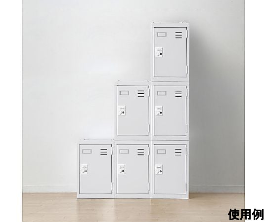 200x300x200mm 個人置物櫃及其他 EA954DM-11 和更多型號 - 商品圖 9