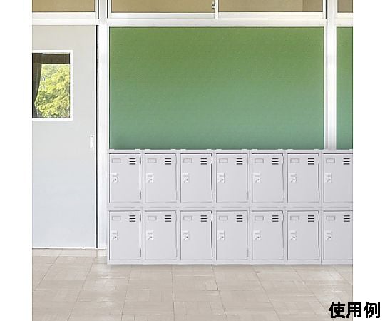 200x300x200mm 個人置物櫃及其他 EA954DM-11 和更多型號 - 商品圖 10