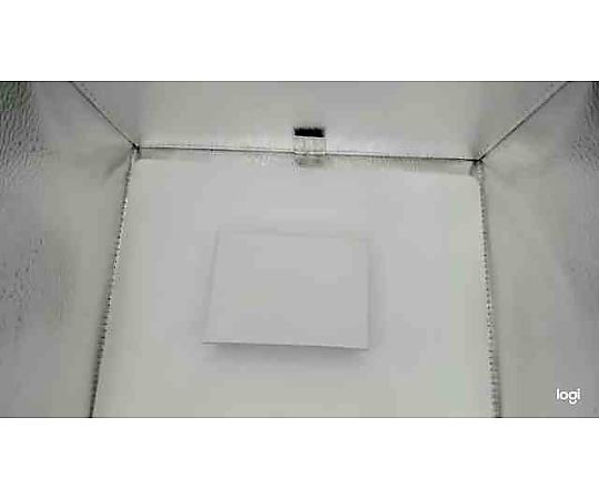 Linkman 變壓器 (12 伏特/1 安培, 2.1 公釐插頭) ATS012S-W120U - 商品圖 2