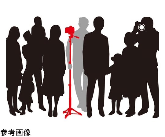 腳架 POLE POD EX 及其他 - 商品圖 3