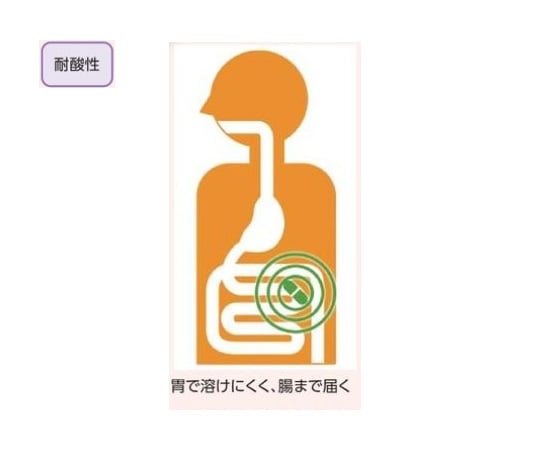 DR膠囊 (耐酸性食品膠囊) 0號 100顆 及其他 - 和更多型號 - 商品圖 5