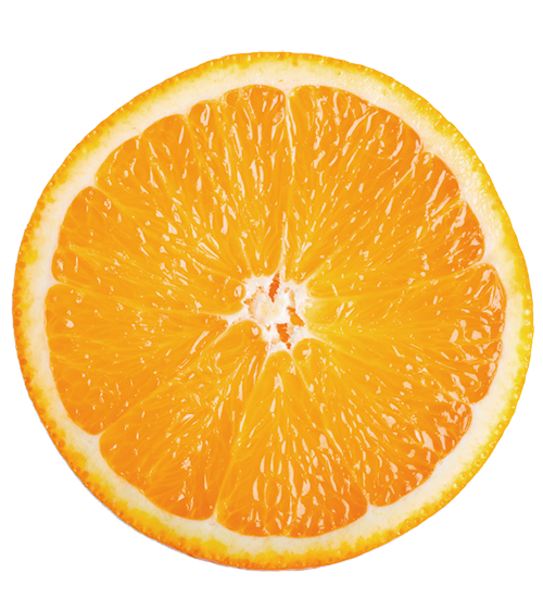 ATAGO 數位式糖酸度計(柳丁) PAL BX/ACID 1 - 商品圖 2