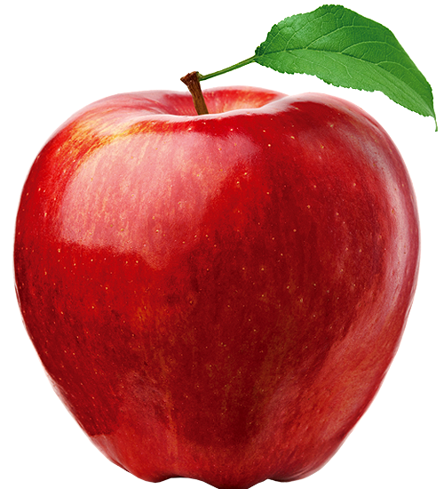 ATAGO 數位式糖酸度計(蘋果) PAL BX/ACID 5 - 商品圖 2