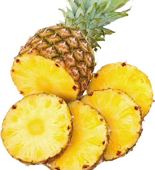 ATAGO 數位式糖酸度計(鳳梨) PAL BX/ACID 9 - 商品圖 2